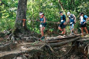 BIB: 
                            <button type="button" onclick="openModal(27557954)" class="btn btn-primary btn-sm float-right btn-popup" data-toggle="modal" data-target=".modal-high-quality">
                        <i class="fas fa-shopping-cart"></i> Add to Cart
                    </button>
                                            <button type="button" onclick="isThisMe(27557954, true)" class="btn btn-success btn-sm float-right btn-popup btn-isme hidden" data-toggle="tooltip" data-placement="bottom" title="นี่คือรูปของคุณใช่ไหม คลิกที่นี่เพื่อเอาเข้าอัลบั้ม">
                        <i class="fas fa-plus"></i> Add to album
                    </button>
                    <button type="button" onclick="isThisMe(27557954, false)" class="btn btn-warning btn-sm float-right btn-popup btn-isnotme hidden">
                        <i class="fas fa-ban"></i> Remove from album
                    </button>